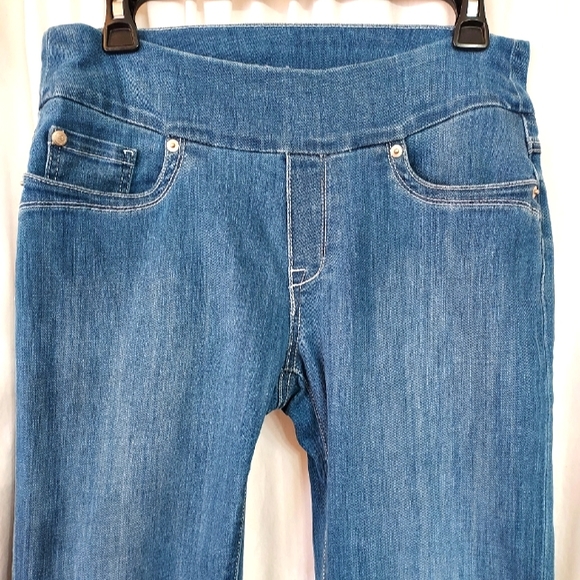 Blueberry Denim Jeggings Size 